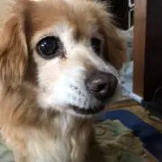 うりうり