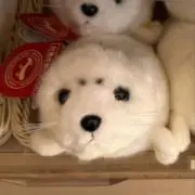 ミトの画像