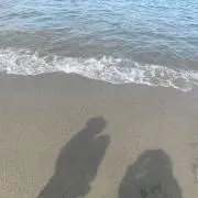 めろの画像