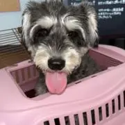 桃色ママの画像