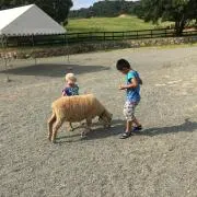 えび☆現在発送中止中