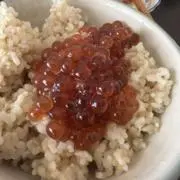 woodstone製テナーサックスフライトケース用ナイロン製ケースカバー