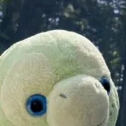 キティ 清水公園限定 さくら - メルカリ
