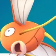 びわの画像