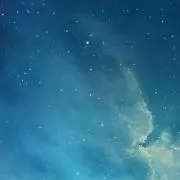TNの画像