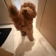なぎちぇ