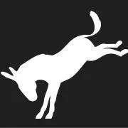 donkey