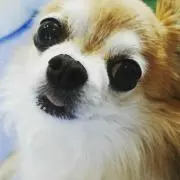 ヒロの画像
