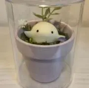 めるの画像