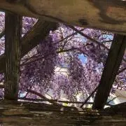 ノリサン