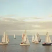 ouiの画像
