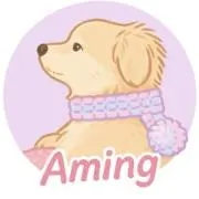 Amingの画像