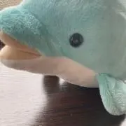 freeの画像
