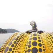 m_iiの画像
