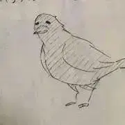 イザベラ