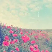 もじゃ
