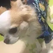 へのへのもへじの画像