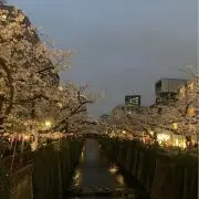 むー
