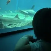 このの画像