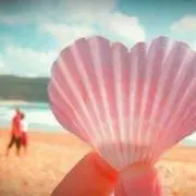 【土日祝発送不可】☪ツキの画像