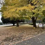 aiaikoの画像
