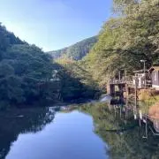 DX.31の画像