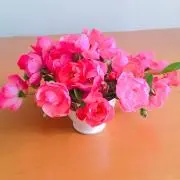 なの画像