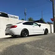 BMWと愛犬との日々の画像