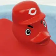 ラディッシュの画像