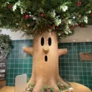 ことこの画像