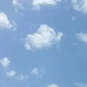しましま✩SALE中