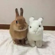 じばこ