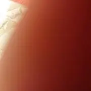 かんこの画像
