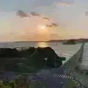 しょうた　プロフィールに注意事項ありの画像