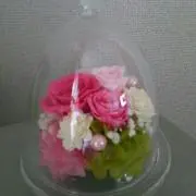 りょうの画像