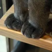 みなみ