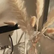 k☆の画像