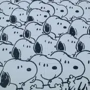ピーナッツの画像
