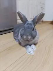 ☆うーちゃき☆