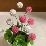 krnの画像