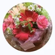 PCH【プロフ確認お願いします】の画像
