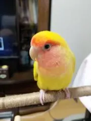 mrknm123の画像
