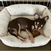 yuka.の画像