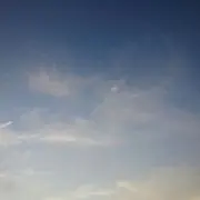 まぎー