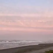 イクの画像