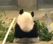 megu〜の画像