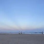 ススキの画像