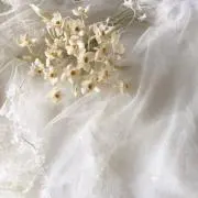 yoの画像
