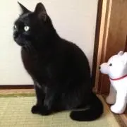 くう☆の画像
