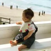 テルの画像